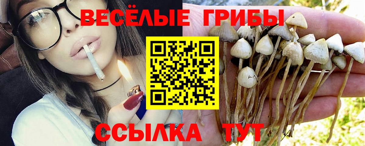 Галлюциногенные грибы мухоморы Старый Оскол
