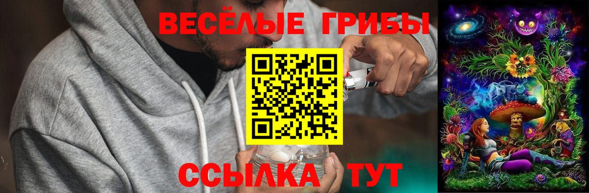 Галлюциногенные грибы Cubensis  Вход с VPN  Старый Оскол 